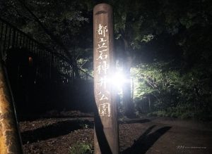 【シリーズ・心霊スポット】石神井公園