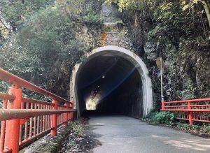 【シリーズ・心霊スポット】赤橋トンネル