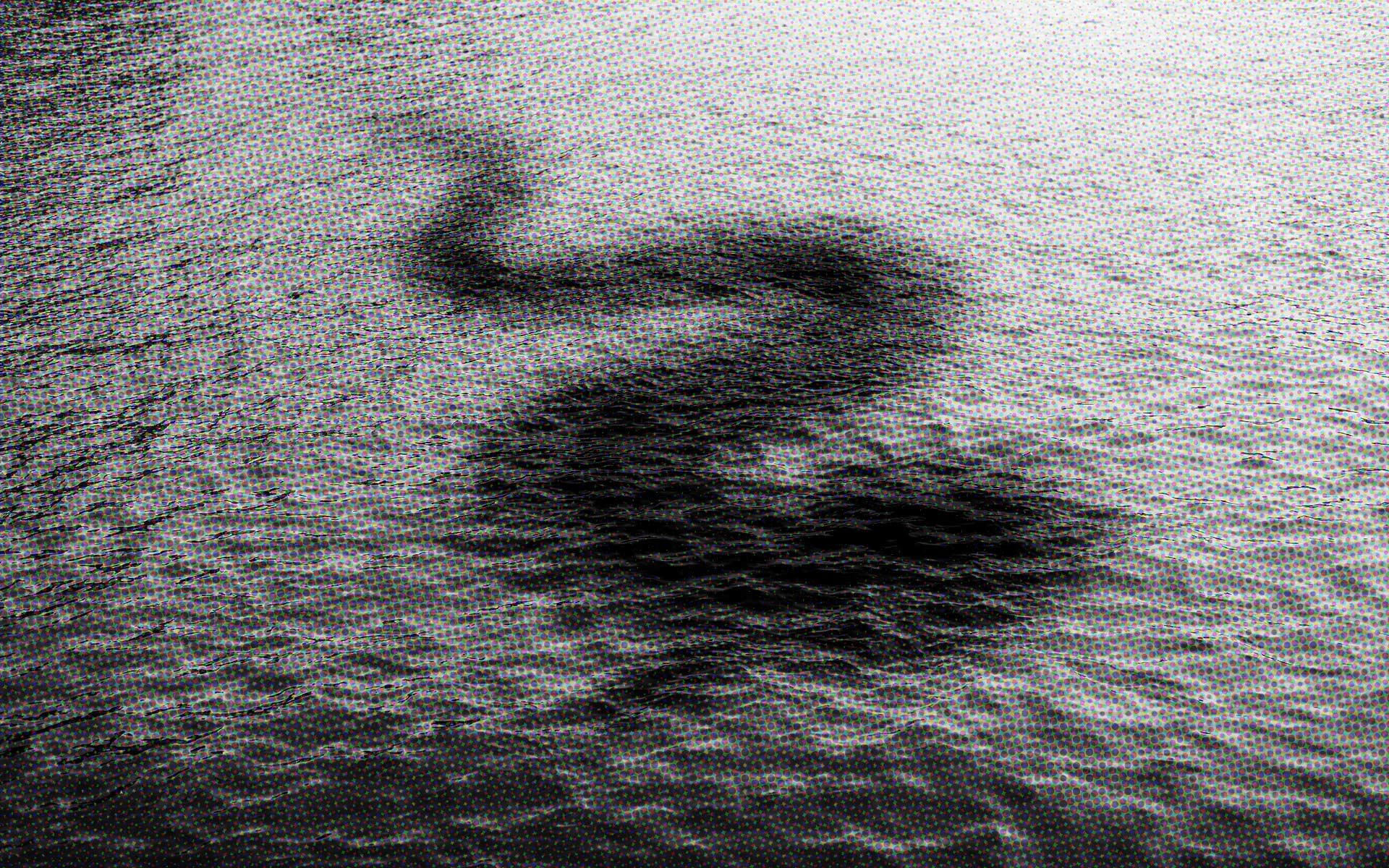 【シリーズ・都市伝説】日本の湖にいる正体不明の怪物「クッシー」