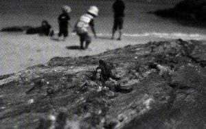 【シリーズ・都市伝説】ヤドカリ葬の島「ニャーデバナ」